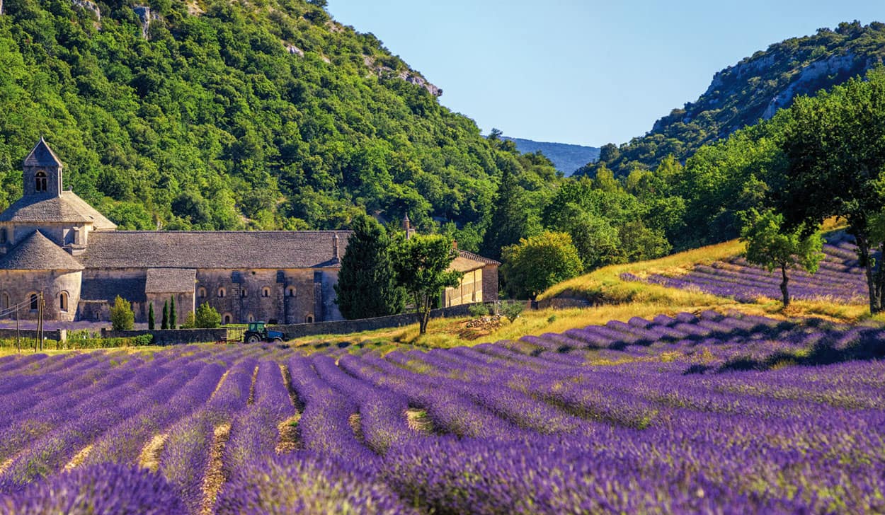 Reise in die Provence mit jacobs touristik international